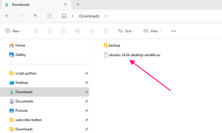 Ubuntu24 downloaded on Windows Downloads folder