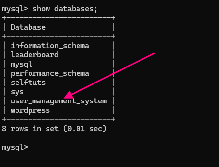 See databases in MySQL