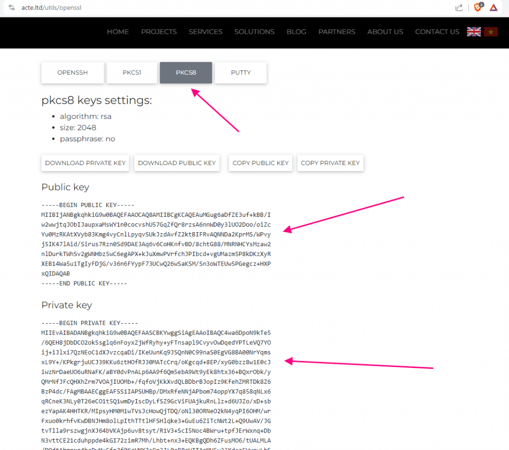 RSA256 JWT public and private key