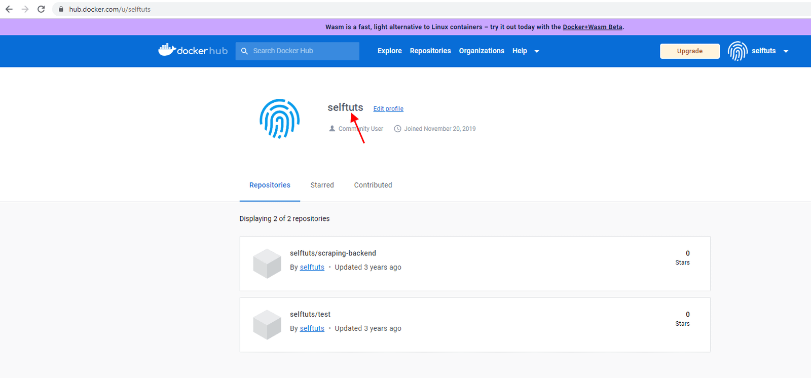 Push your docker image to DockerHub - Selftuts
