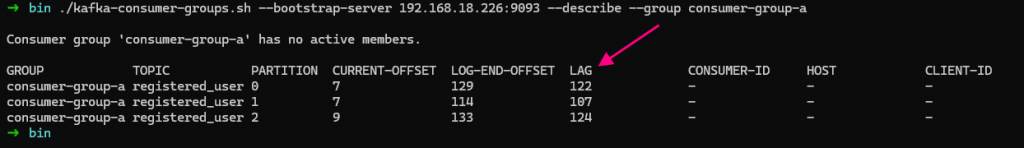 kafka consumer lag