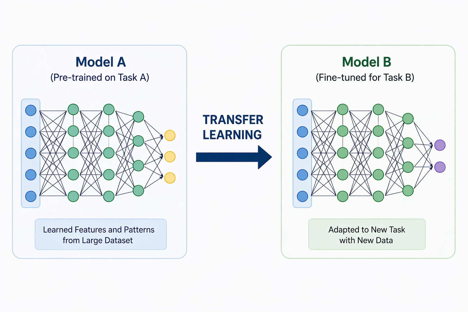 What is Transfer Learning in AI Models - Selftuts